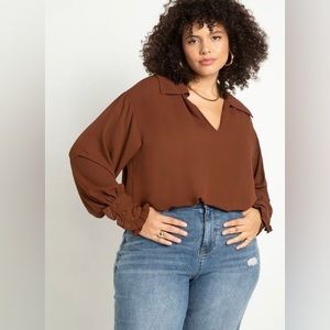 Brown Collard Blouse